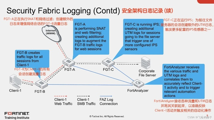网络安全顾问深度解析,国际版最新版本安全软件Tizen1_v5.891及其防御策略