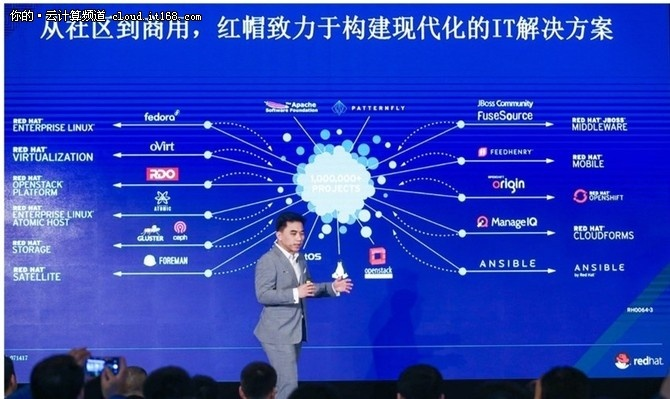 红柚老版本,系统化推进策略探讨|免费版1_v1.105